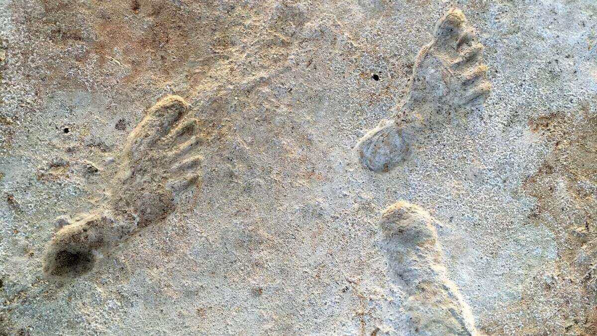 令人难以置信的远古脚印是北美人最古老的足迹