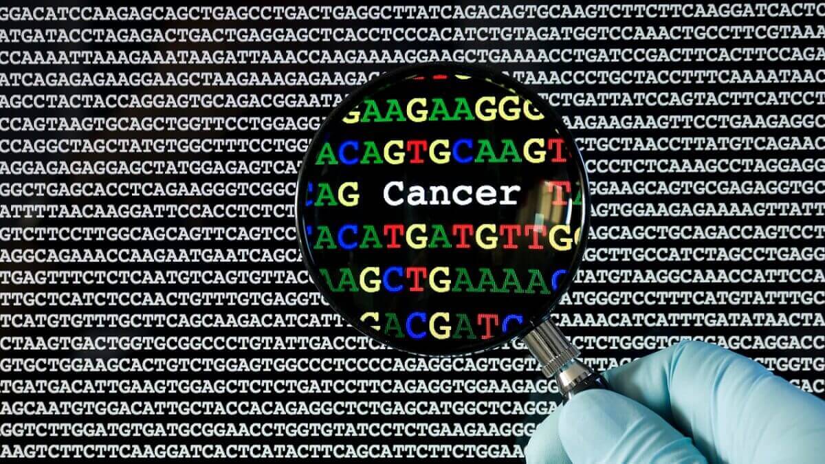 为什么几乎每一篇遗传学论文都提到了癌症?