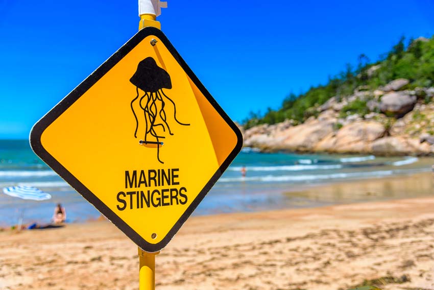 海滩上的海蜇警告标志